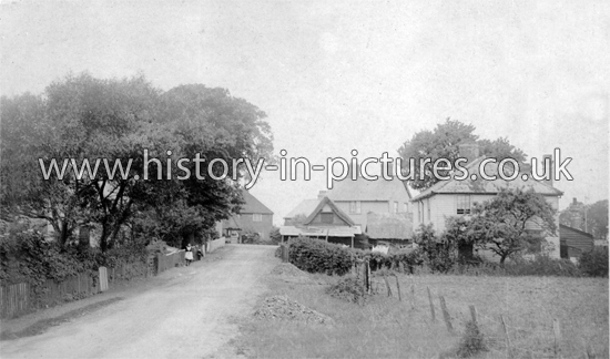 The Village, Canvey Island, Essex. c.1920's.